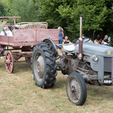 Village Picnic 2018